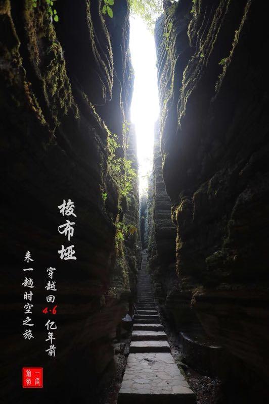 烘培蛋糕记忆卡