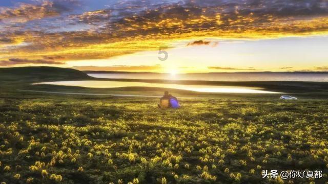 美妙夏季拼图